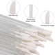 Disposable Lip Brushes