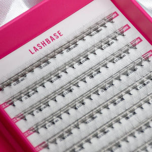 LashBase 12D Third Generation Volume Fans
