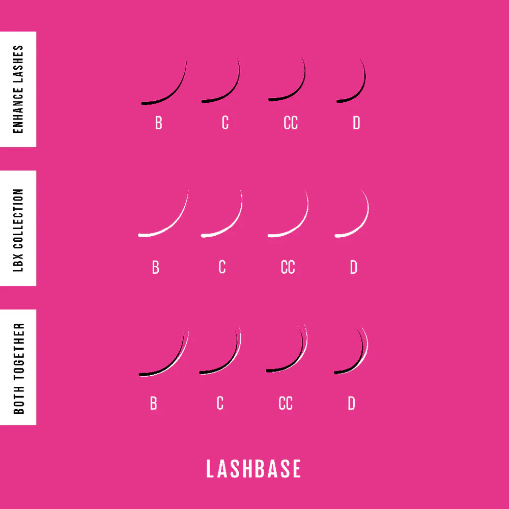 Lash base online