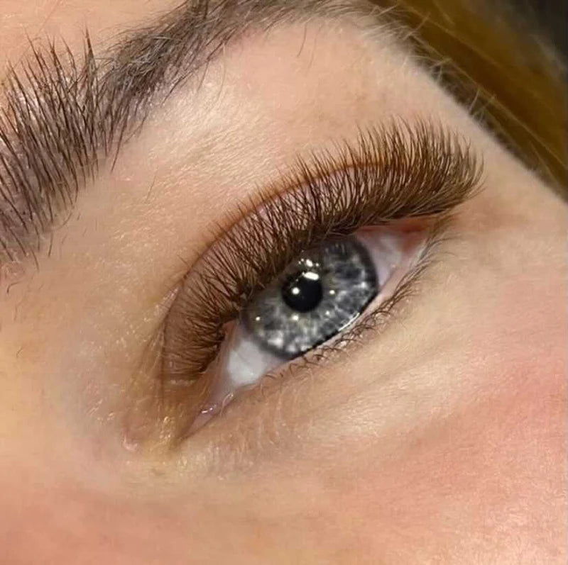 LashBase Mini Colour Lashes Dark Brown