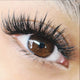 3-Day Mastery Perfect Line Mega Volume & Whispy/Strip Lash Training