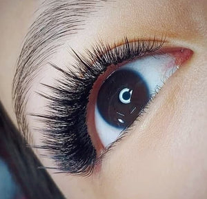 3-Day Mastery Perfect Line Mega Volume & Whispy/Strip Lash Training