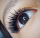 3-Day Mastery Perfect Line Mega Volume & Whispy/Strip Lash Training