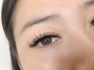 3-Day Mastery Perfect Line Mega Volume & Whispy/Strip Lash Training