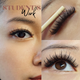 3-Day Mastery Perfect Line Mega Volume & Whispy/Strip Lash Training