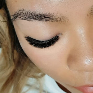 3-Day Mastery Perfect Line Mega Volume & Whispy/Strip Lash Training